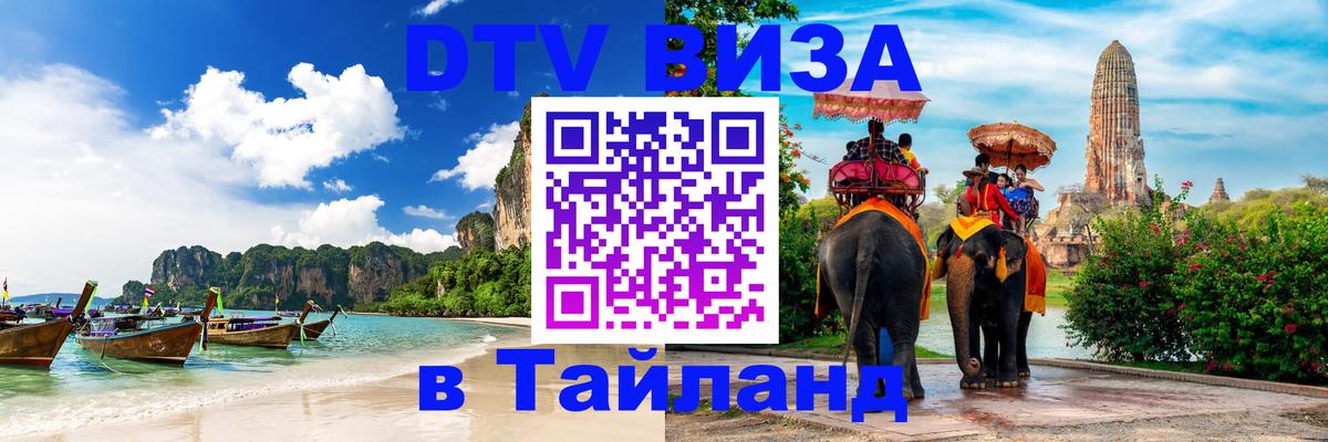 Оформление DTV визы под ключ: стоимость и тарифы, только загранпаспорт - 